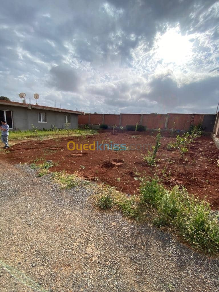 Vente Villa Bouira Oued el berdi