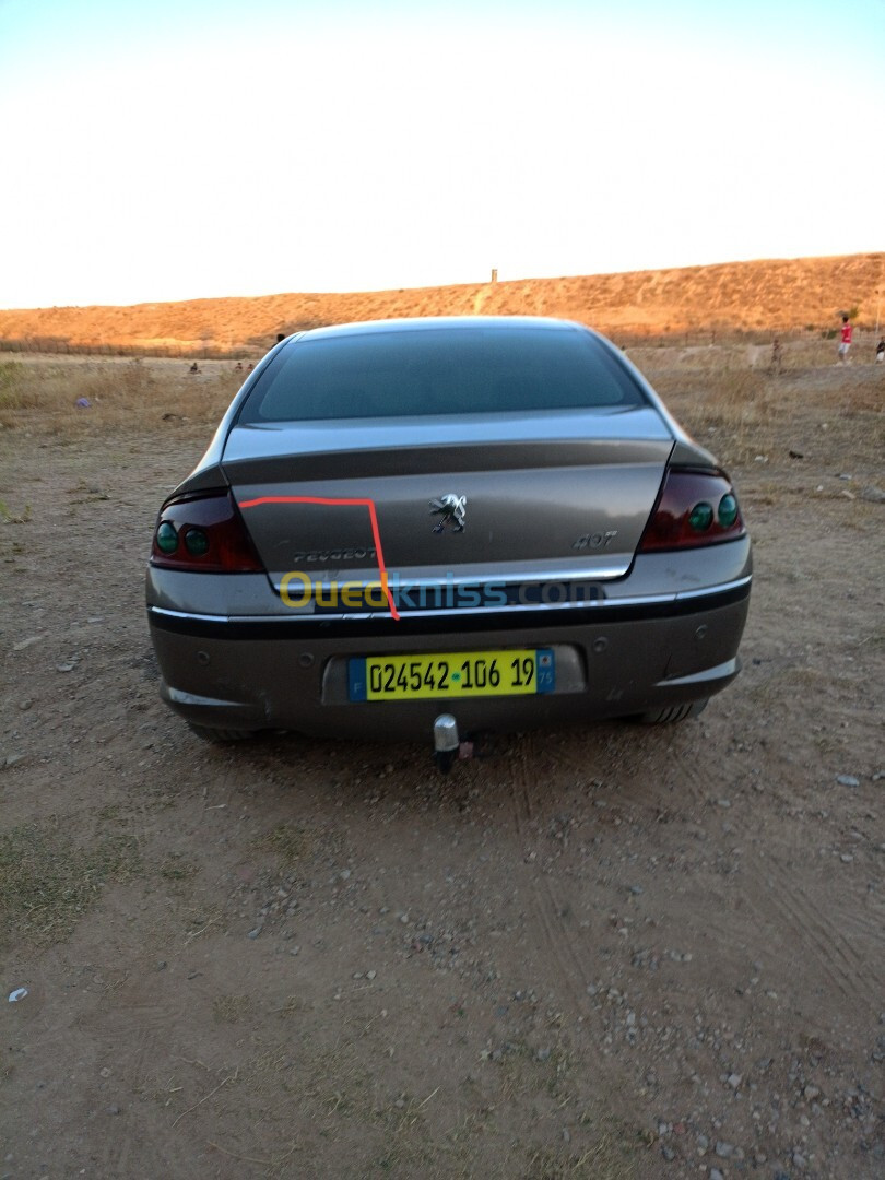 Peugeot 407 2006 407