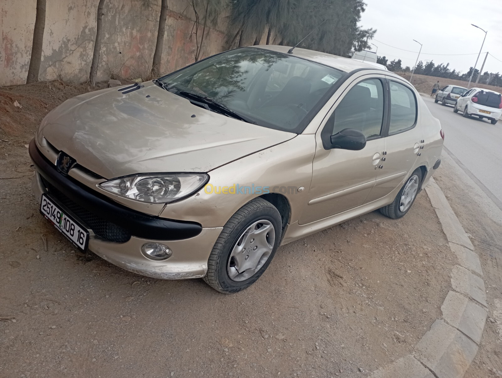 Peugeot 206 Sedan 2008 206 Sedan