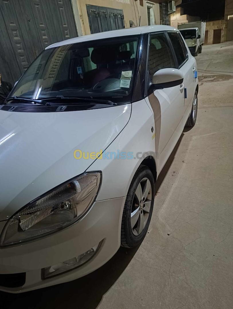 Skoda Fabia 2015 Visage