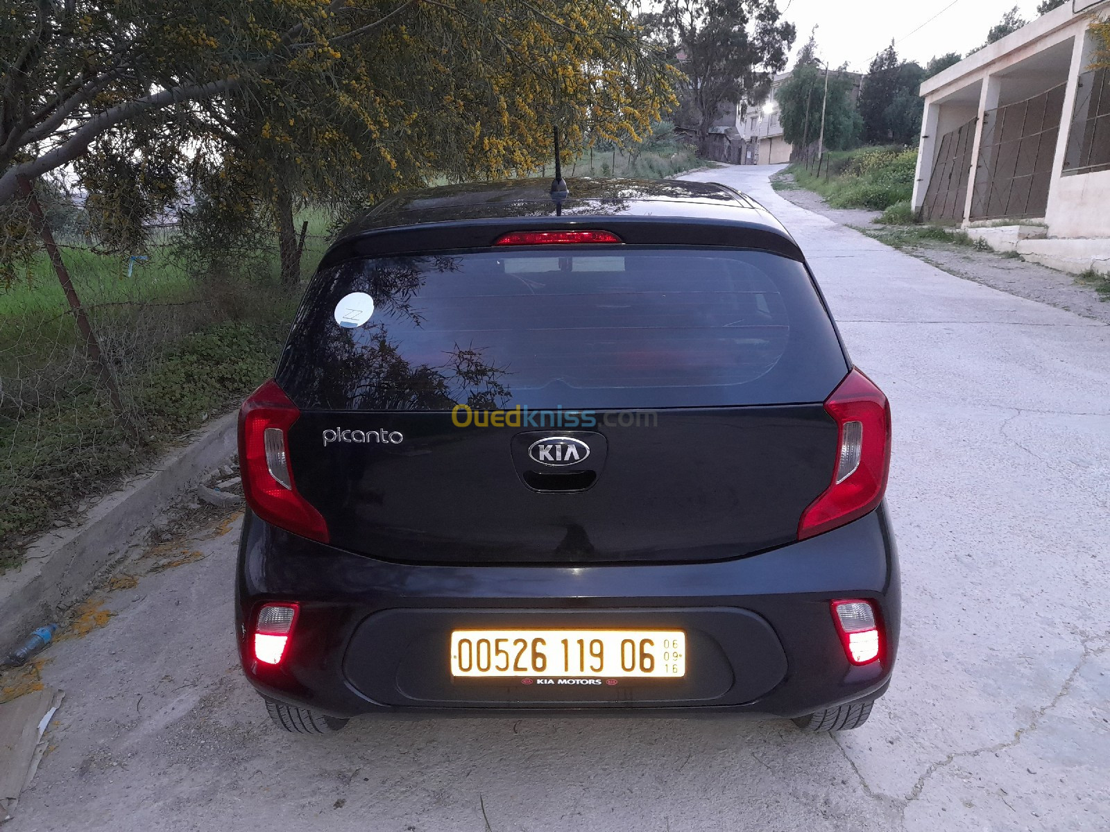 Kia Picanto 2019 Style