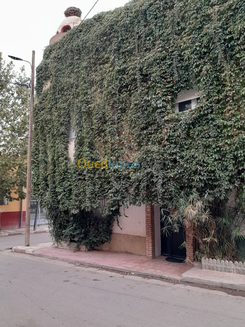 Vente Villa Tiaret Tiaret