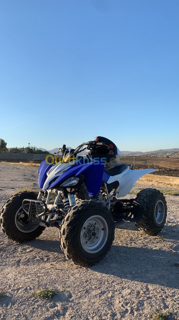 Yamaha Raptor 250 2017