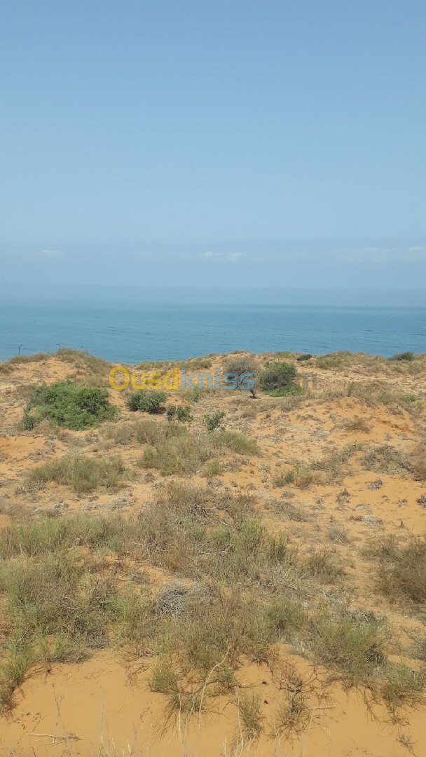 Vente Terrain Mostaganem Abdelmalek ramdane