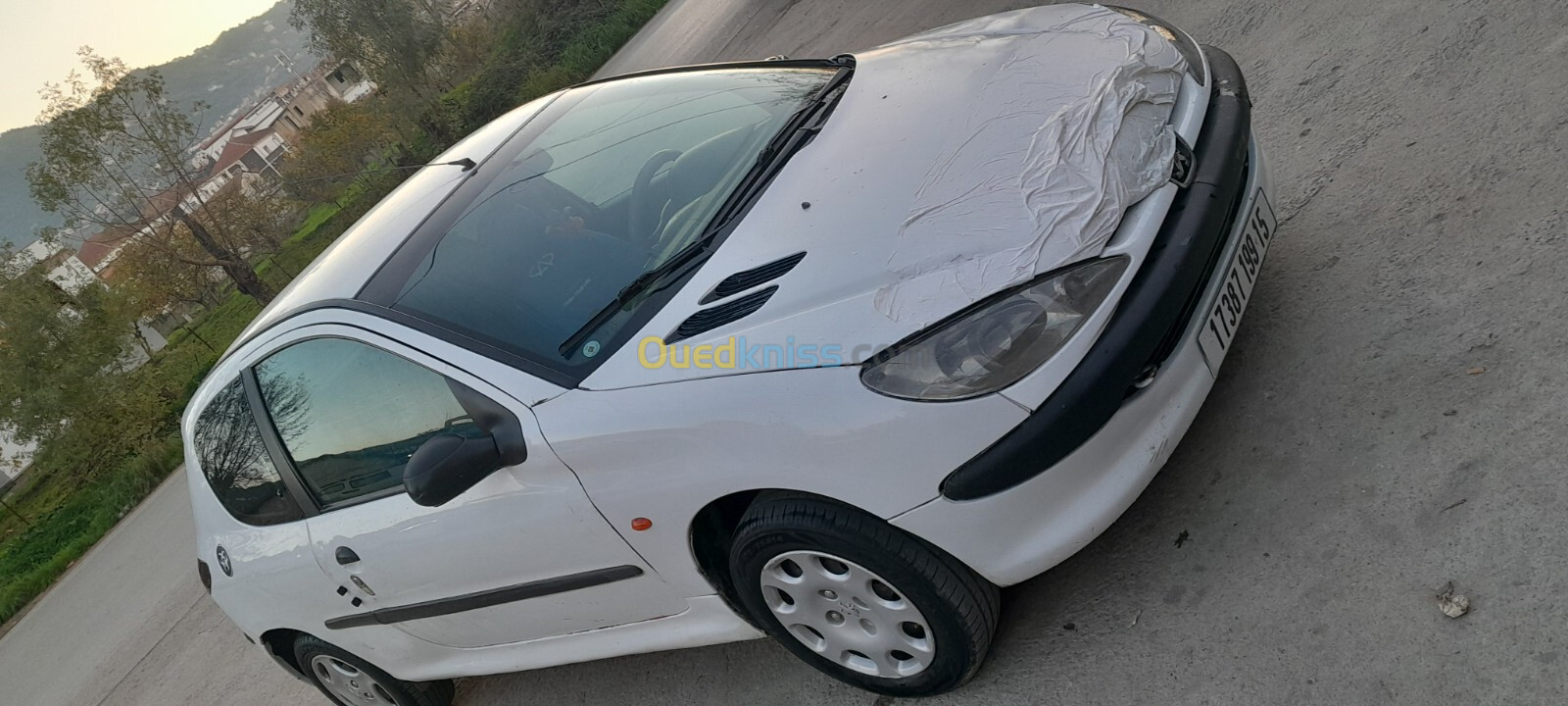 Peugeot 206 1999 206