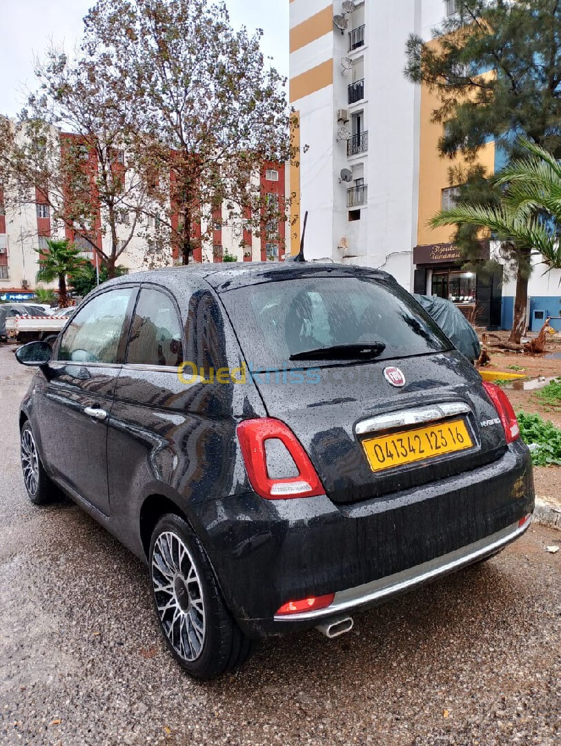 Fiat Fiat500 2023 Guodji vita