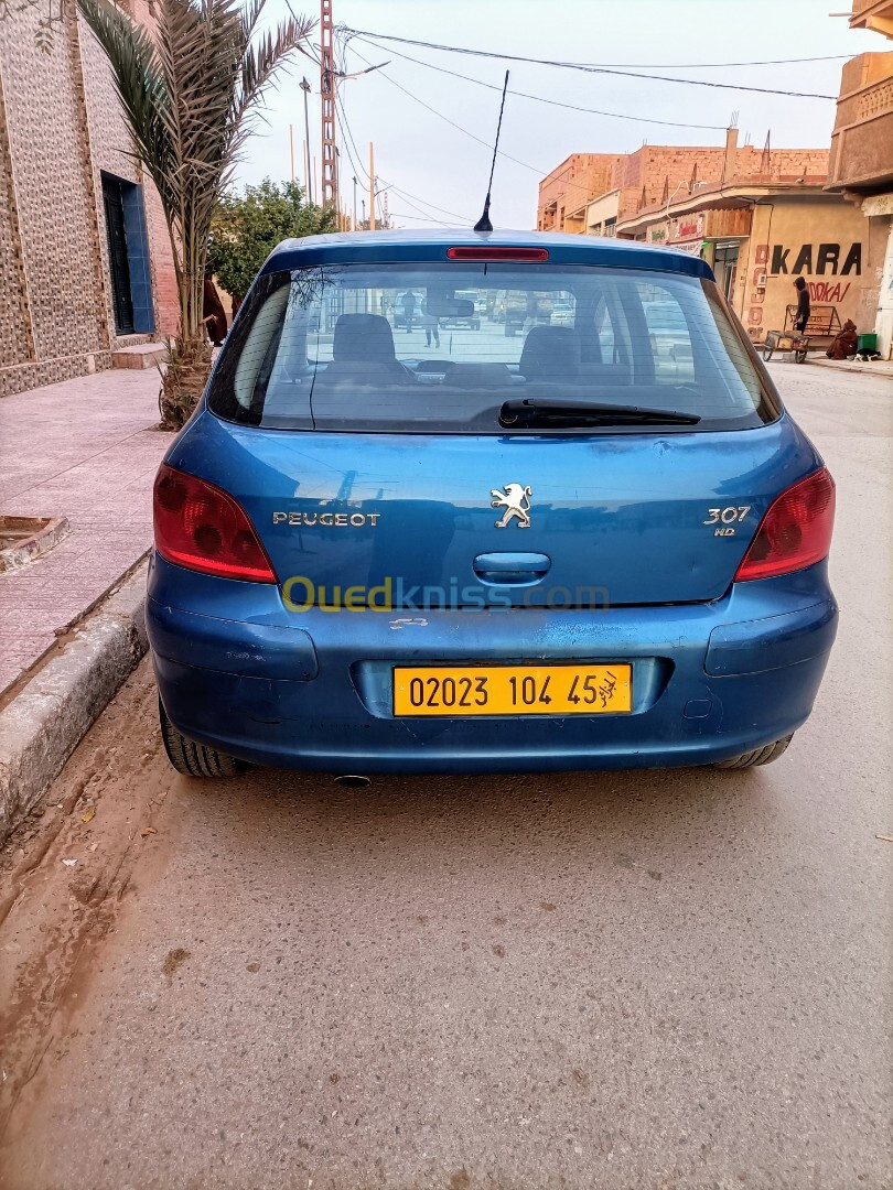 Peugeot 307 2004 307