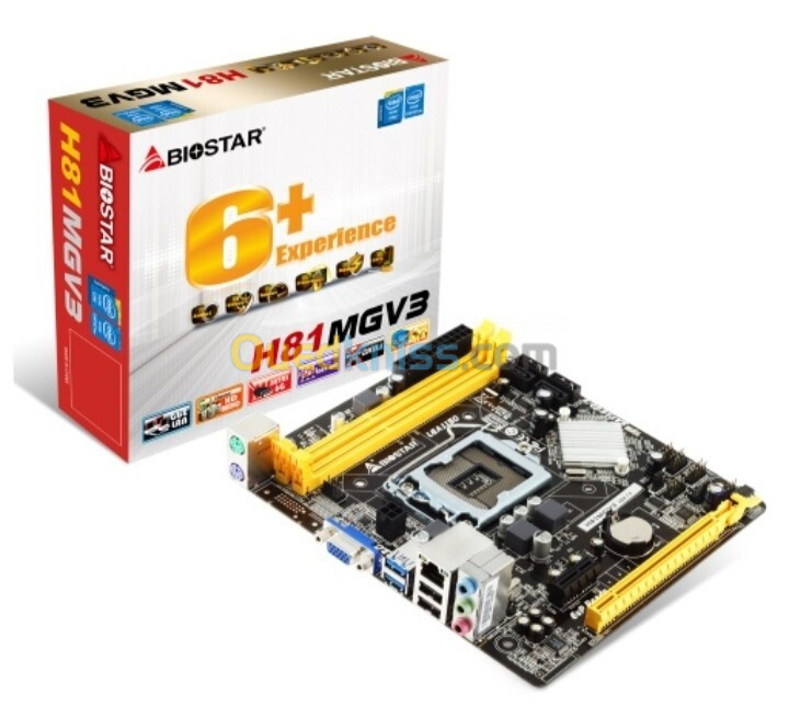 H81 Biostar + i5 4460s + Ram 8g ddr3