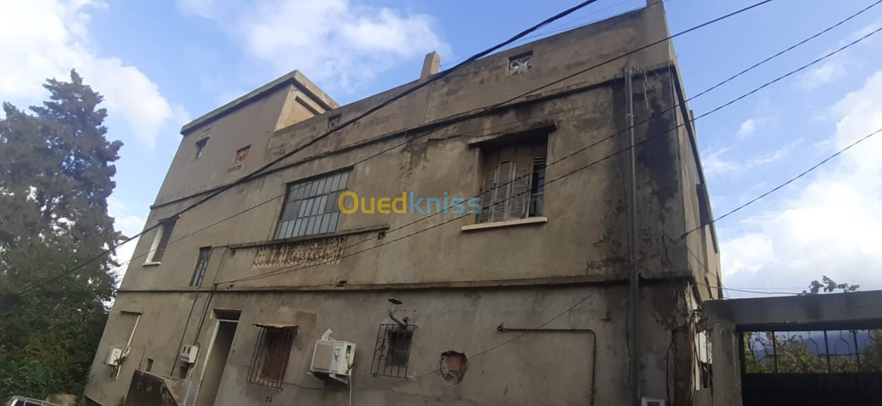 Vente Villa Blida Guerrouaou