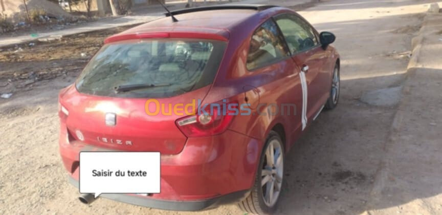 Seat Ibiza 2010 louka