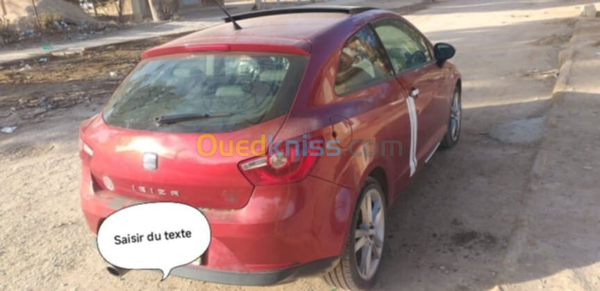 Seat Ibiza 2010 louka