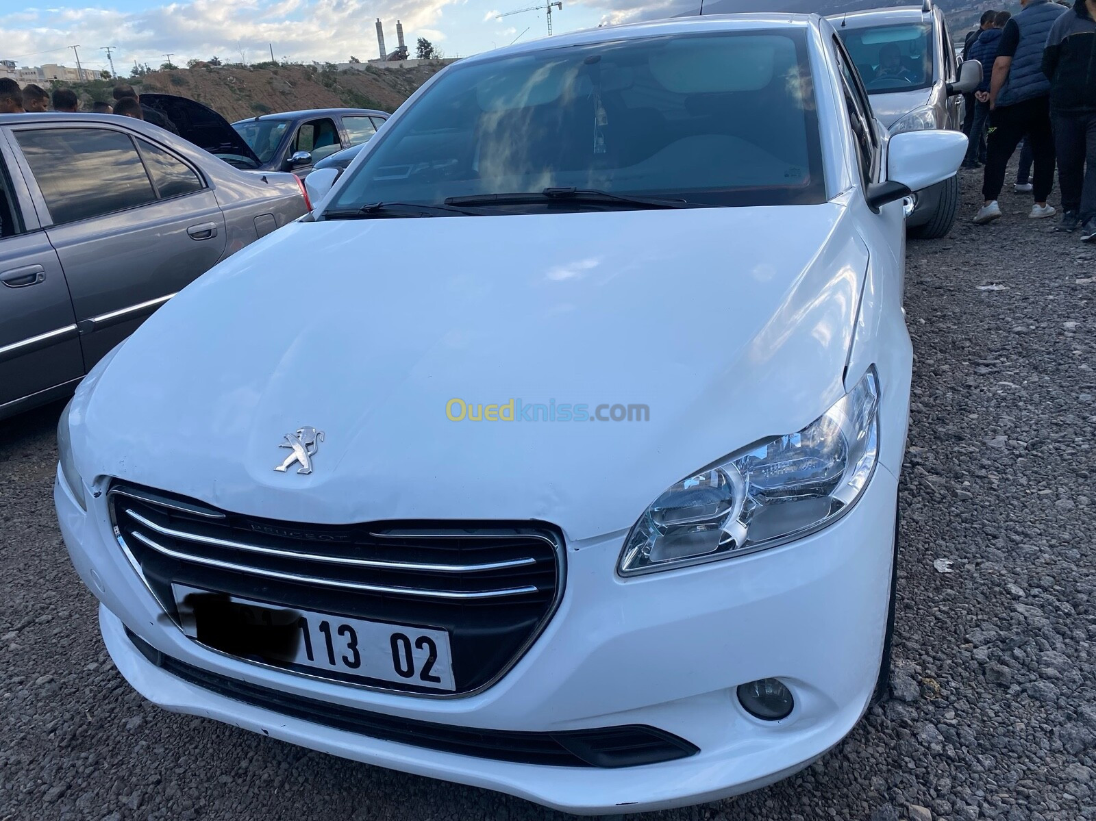 Peugeot 301 2013 301