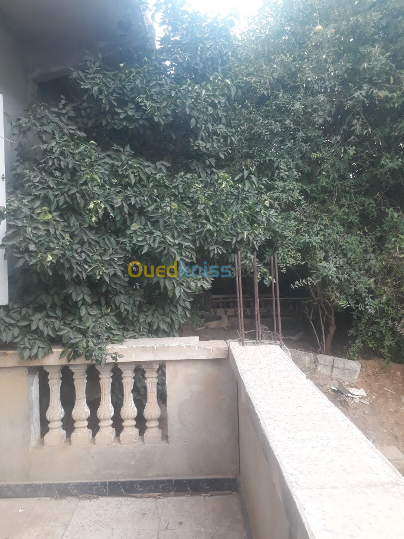 Vente Villa Alger Oued smar