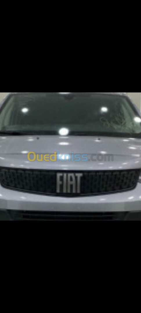 Fiat Scudo 2023 Driver