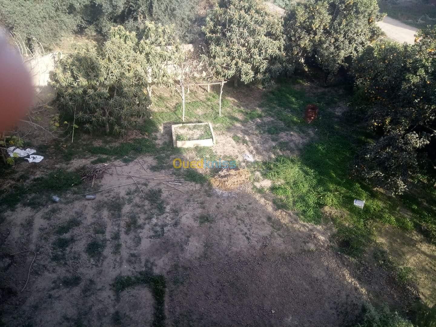 Vente Villa Béjaïa Oued ghir