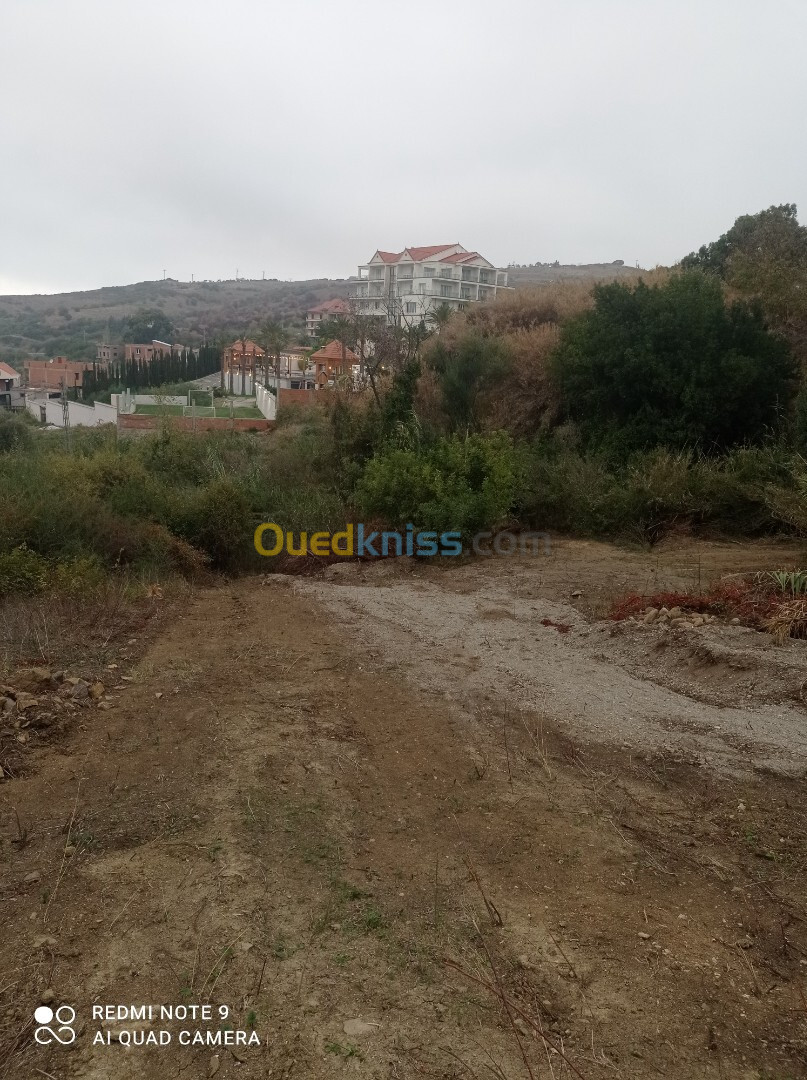 Vente Terrain Tizi Ouzou Tigzirt