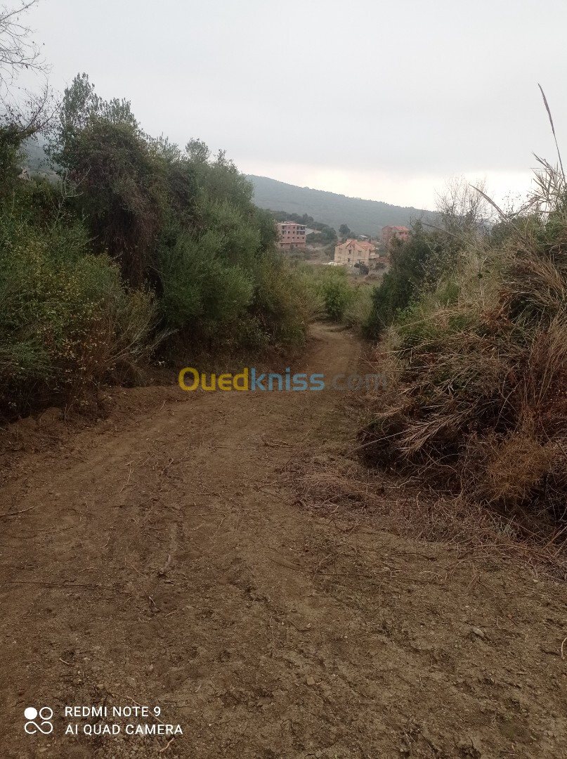 Vente Terrain Tizi Ouzou Tigzirt