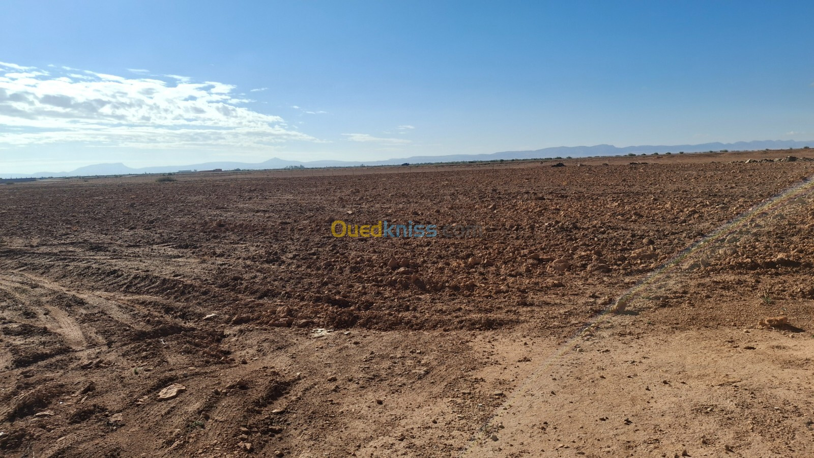 Vente Terrain Agricole Djelfa Ain oussara