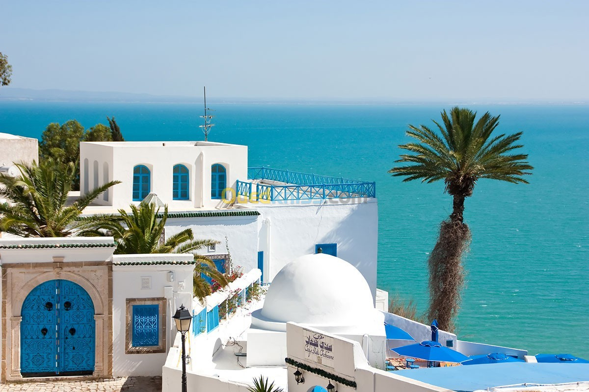 PROMO HOTELS TUNISIE ETE 2024 (HAMMAMET,SOUSSE,MONASTIR)