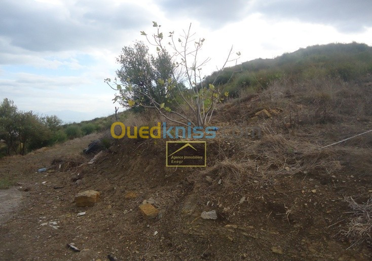 Vente Terrain Béjaïa Bejaia