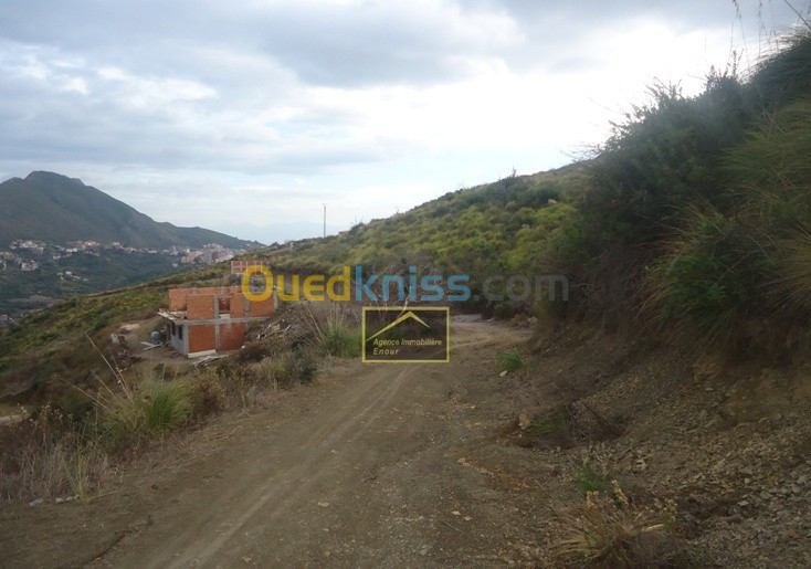 Vente Terrain Béjaïa Bejaia