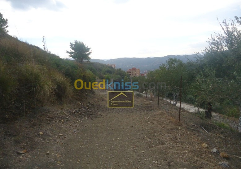 Vente Terrain Béjaïa Bejaia