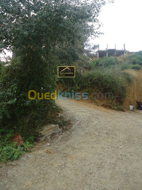 Vente Terrain Béjaïa Bejaia