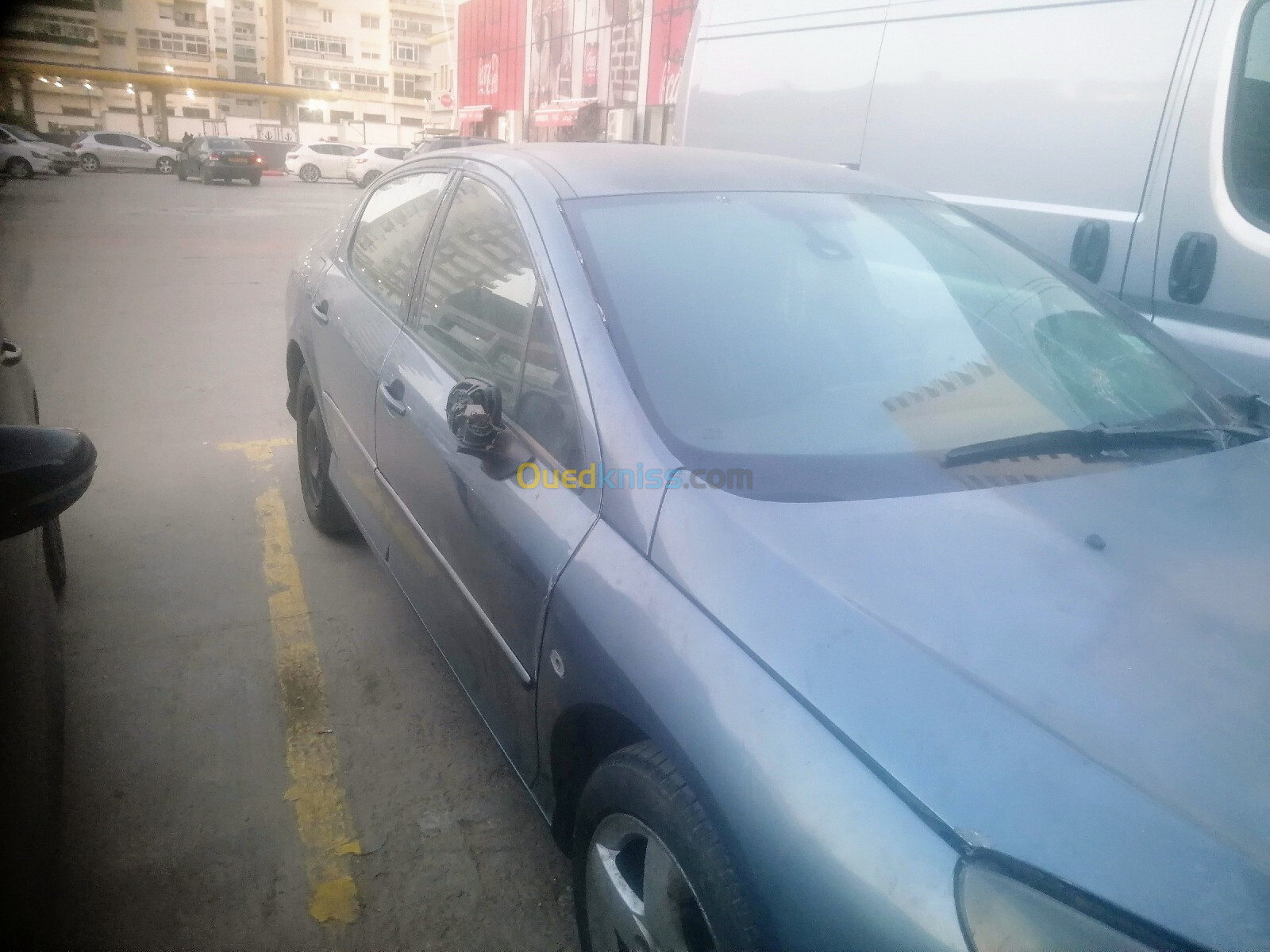 Peugeot 407 2004 407