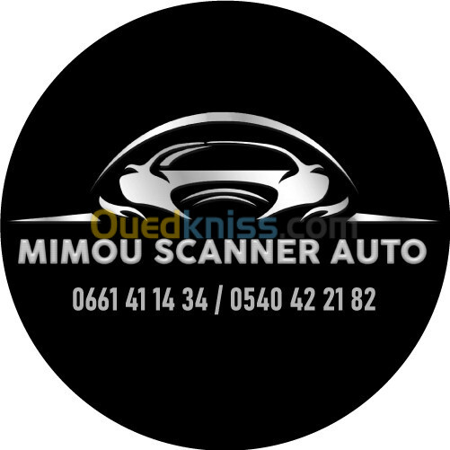 Scanner Auto Et Activation Des Options Cach S Domicile Alger Bab Ezzouar Ouedkniss Com Alg Rie