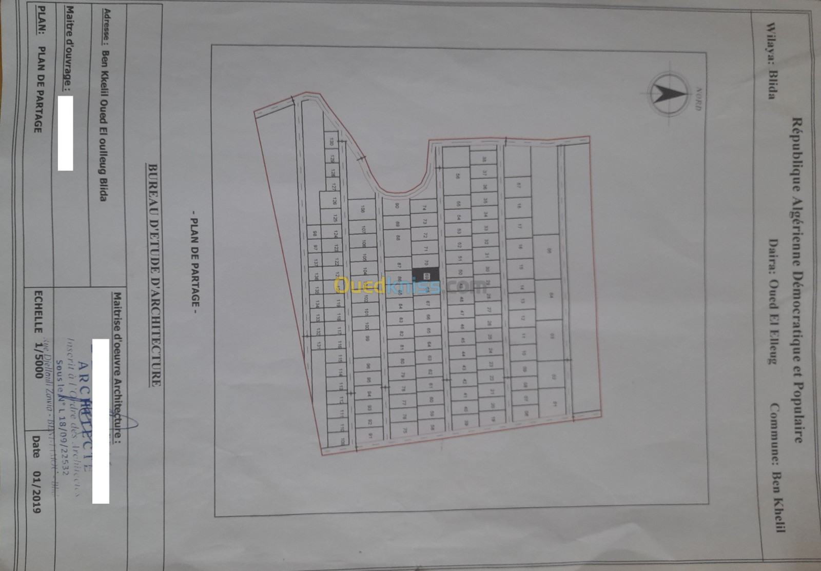 Vente Terrain Blida Ben khellil