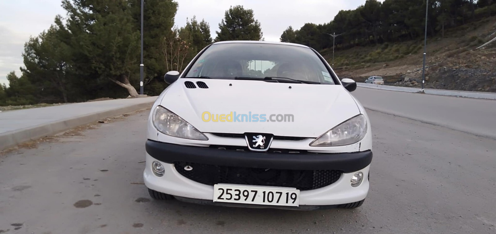 Peugeot 206 2007 206