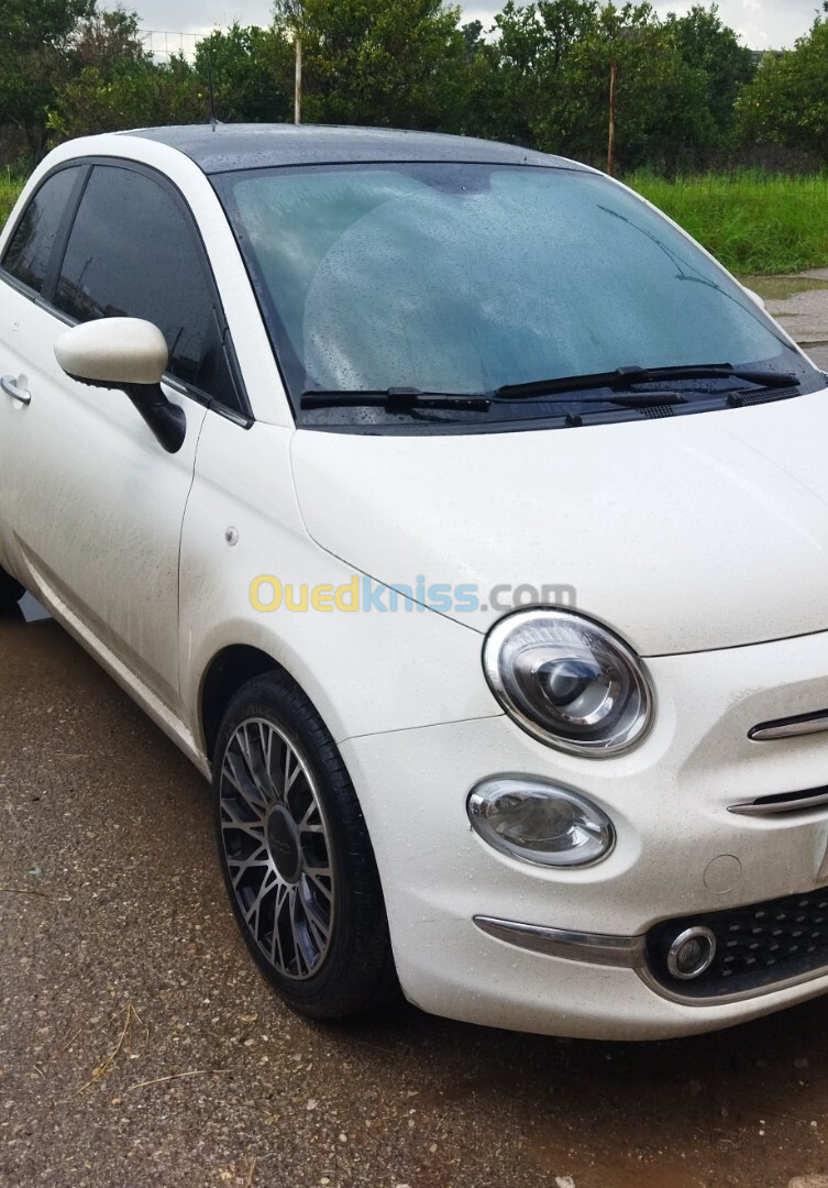 Fiat 500 2024 