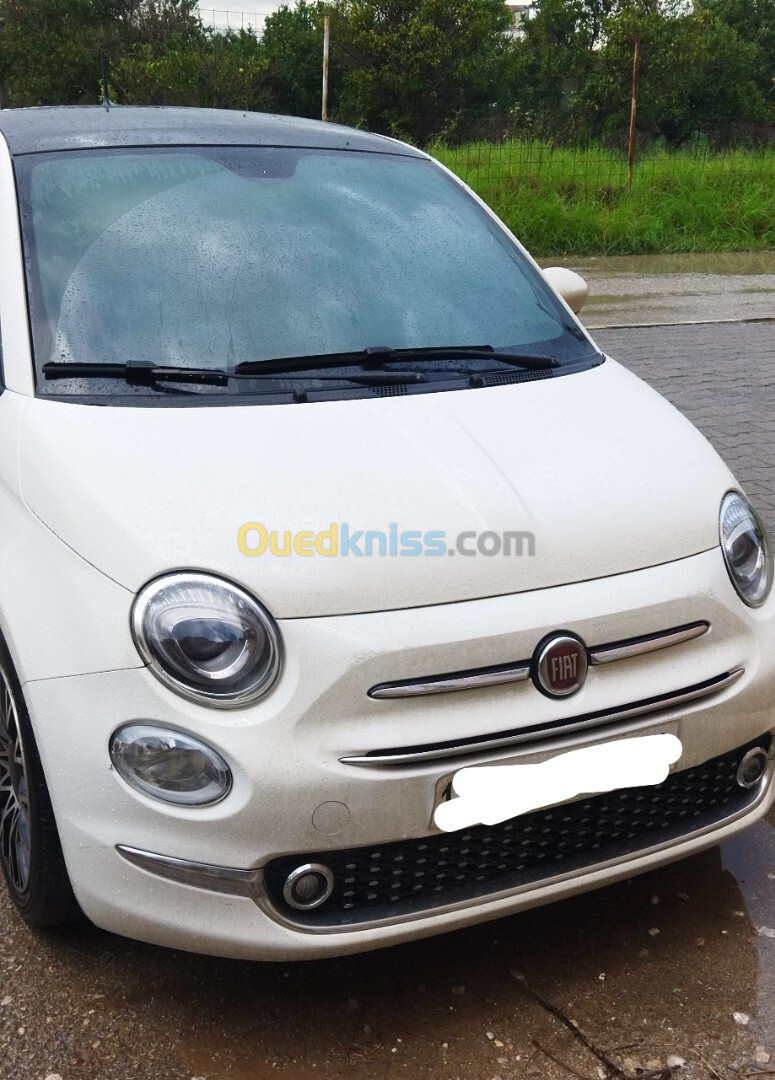 Fiat 500 2024 