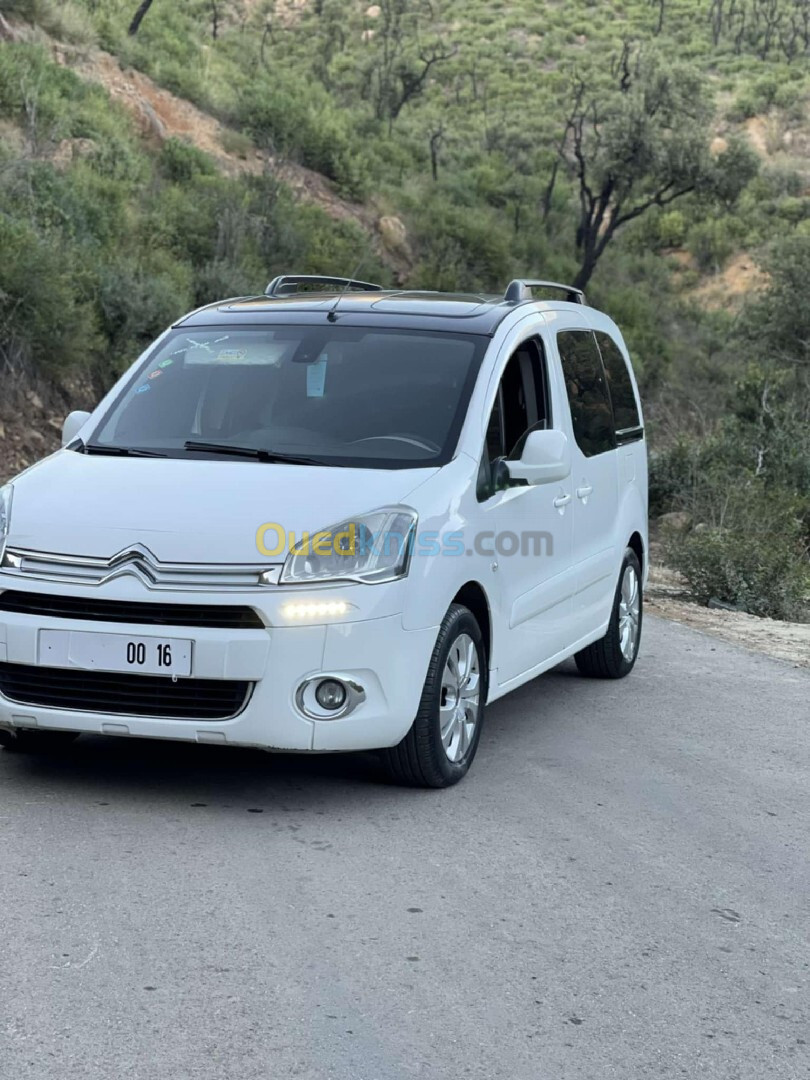 Citroen Berlingo 2015 Berlingo