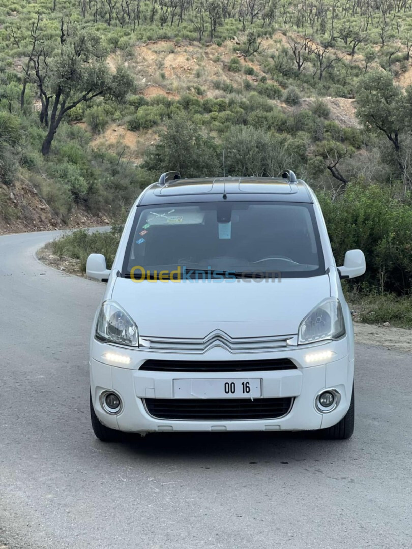 Citroen Berlingo 2015 Berlingo