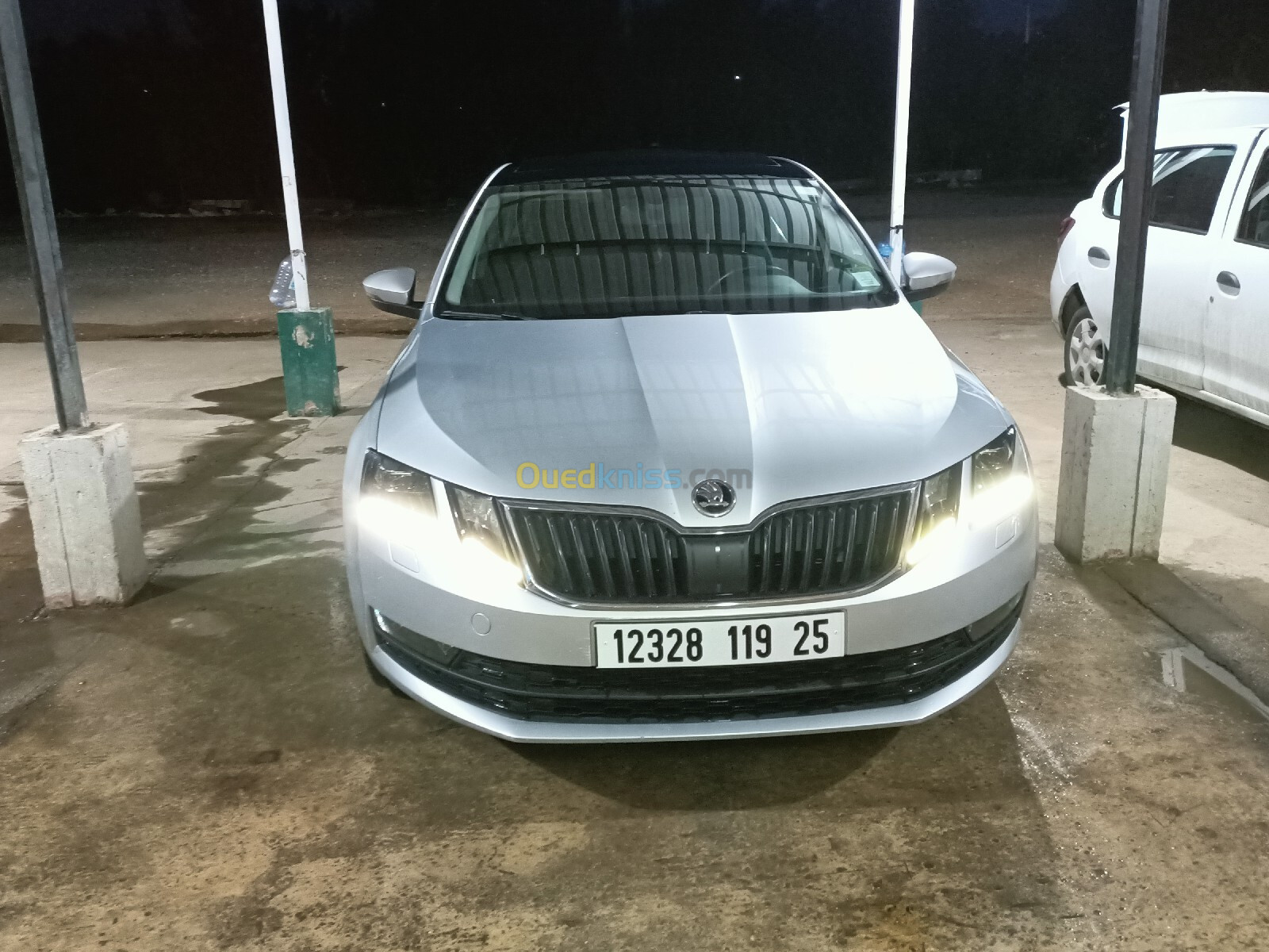 Skoda Octavia 2019 Octavia