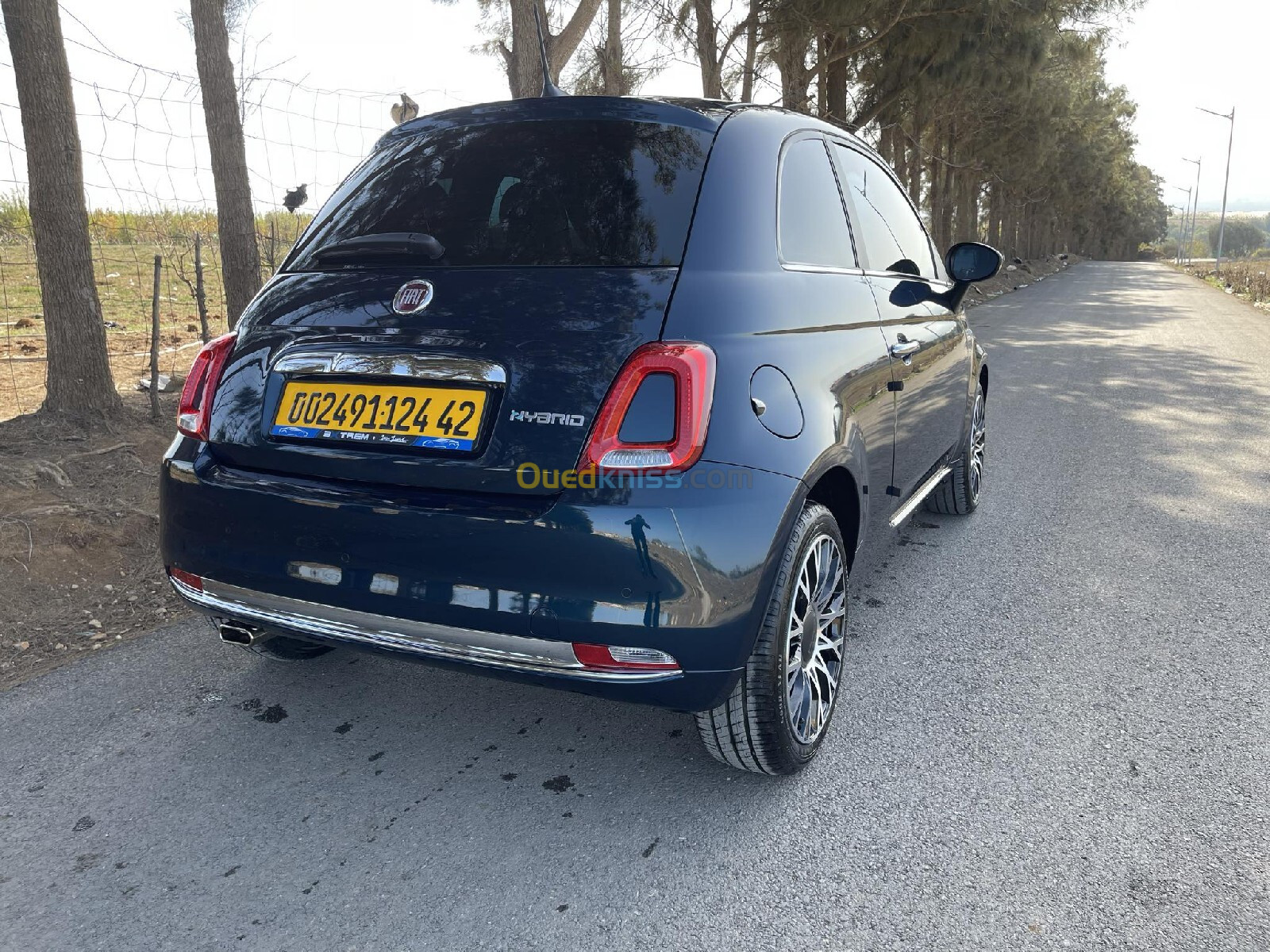 Fiat 500 2024 dolce veta