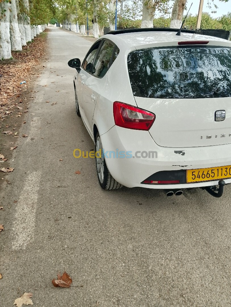 Seat Ibiza 2013 Ibiza