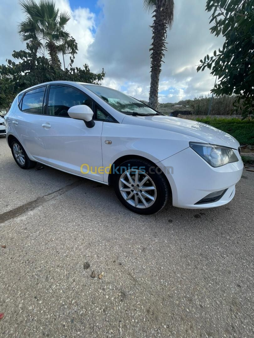 Seat Ibiza 2013 Fully