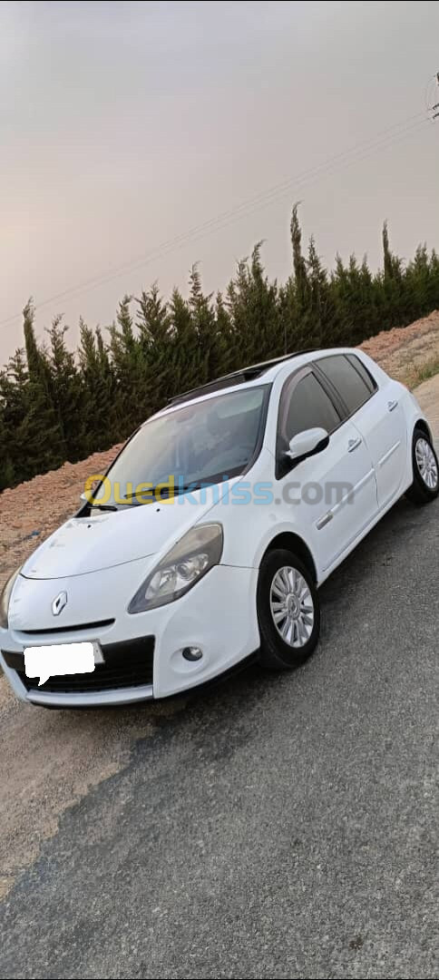 Renault Clio 3 2010 