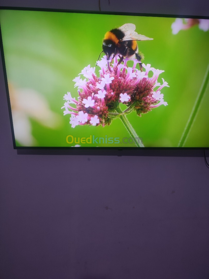 Lg ur80 50pouce 4k smart TV waboes  2023