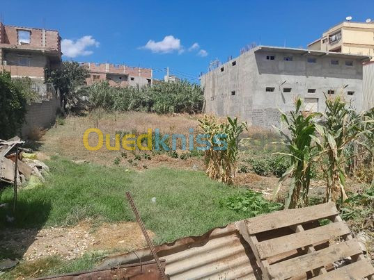 Vente Terrain Boumerdès Ouled moussa