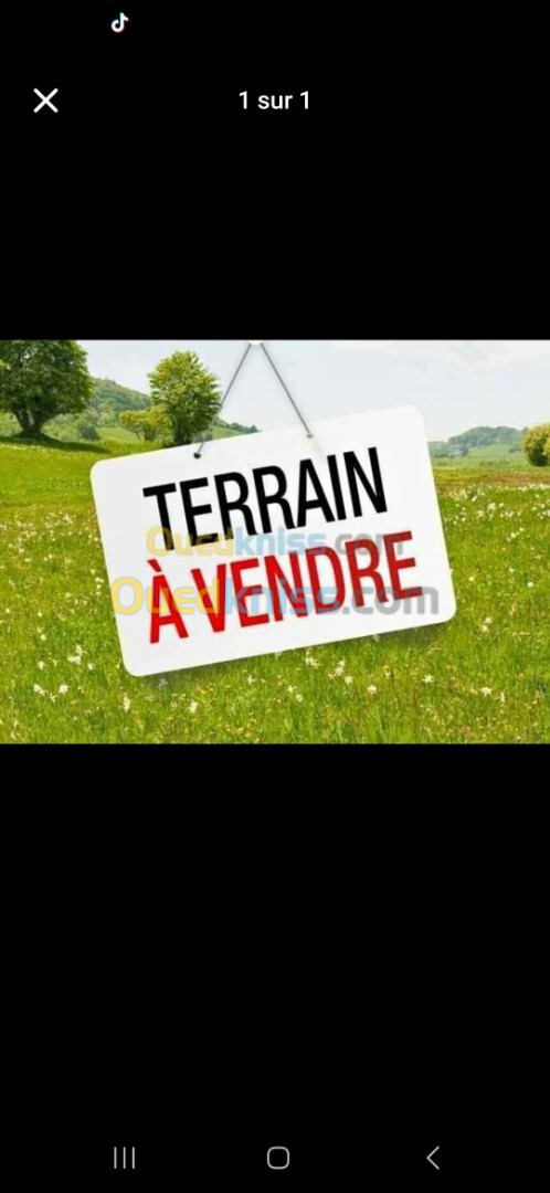 Vente Terrain Tipaza Cherchell