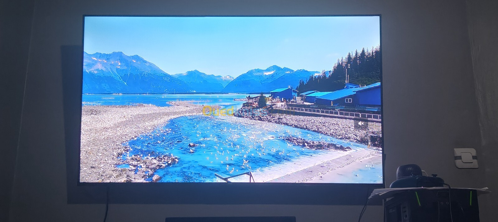 TCL 50" P635 Google tv 