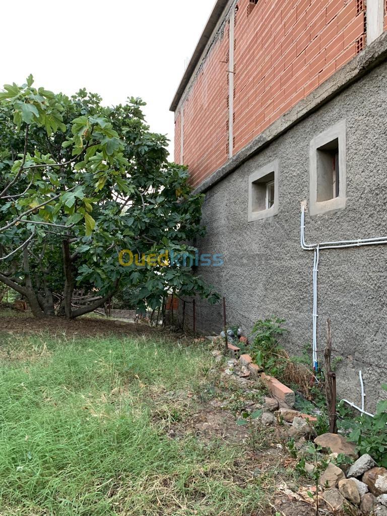 Vente Terrain Tizi Ouzou Azazga Tizi Ouzou Algérie