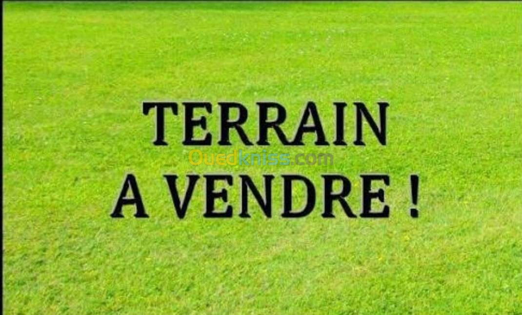 Vente Terrain Oran Tafraoui