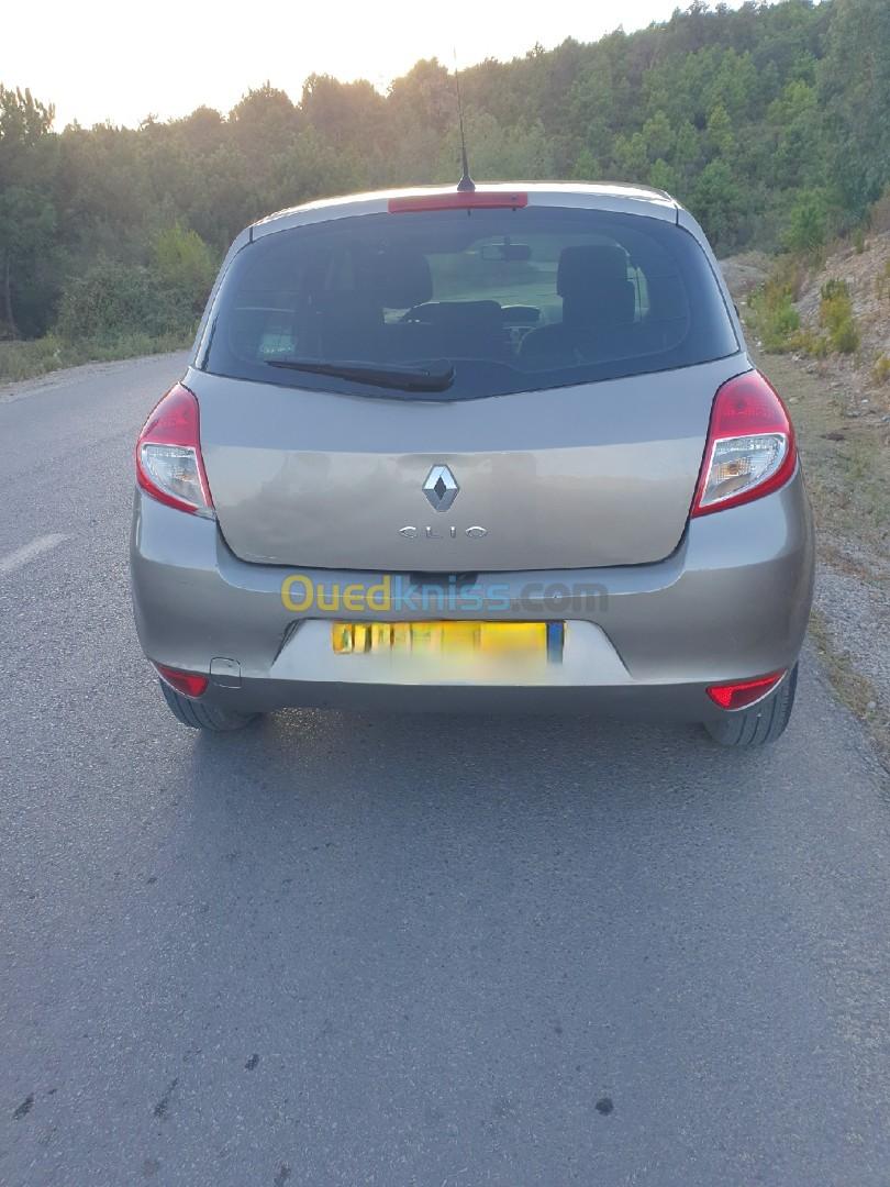 Renault Clio 3 2010 