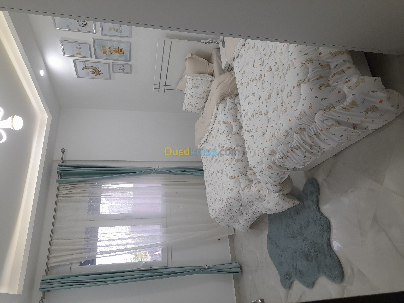 Vente Appartement F3 Alger Bordj el bahri