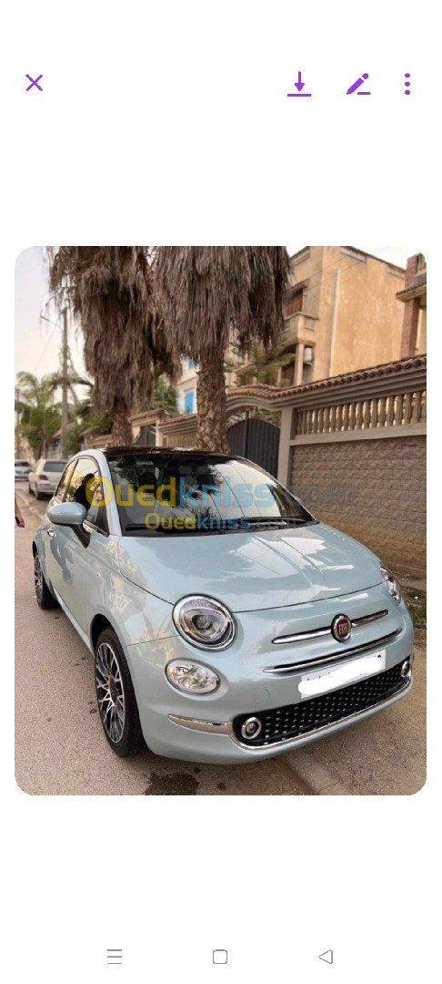 Fiat 500 2024 