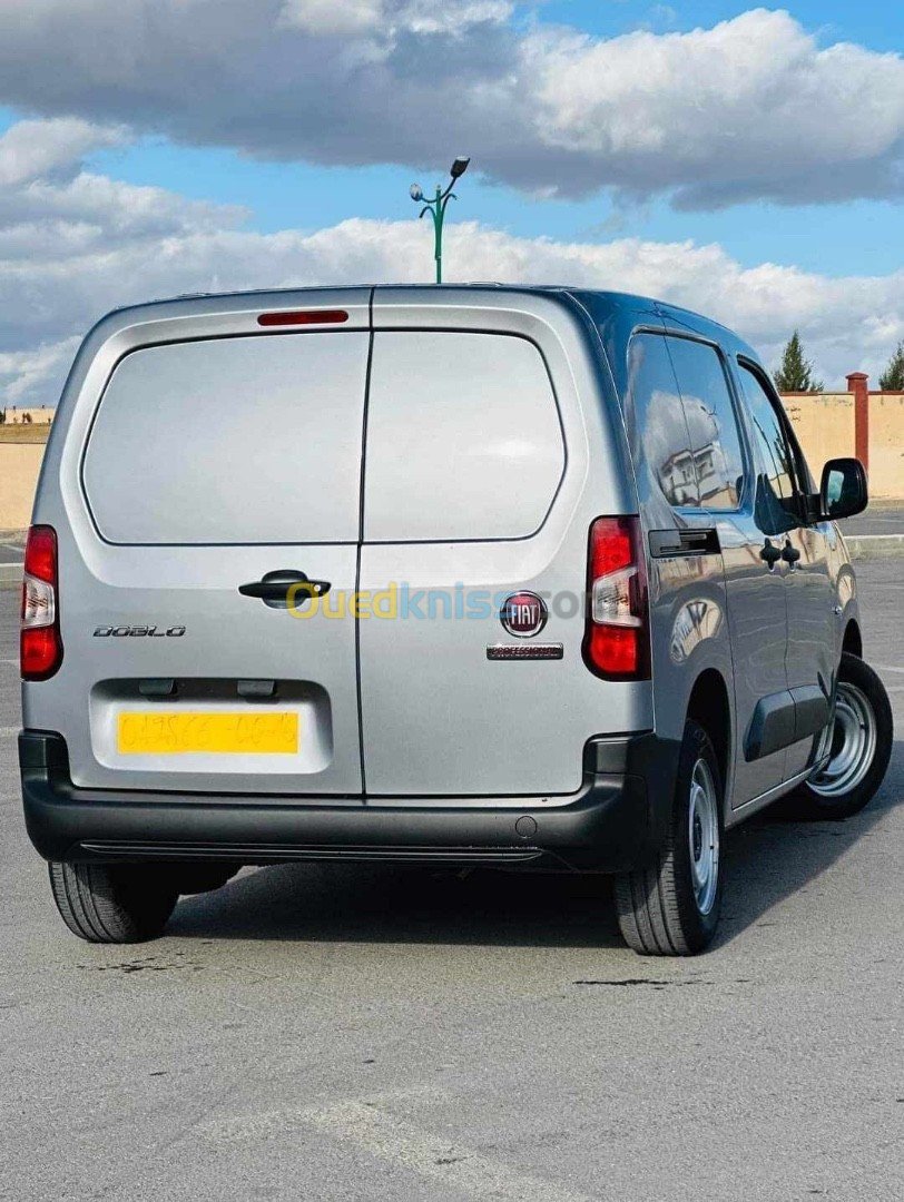 Fiat Doblo 2024 Professional